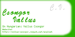 csongor vallus business card